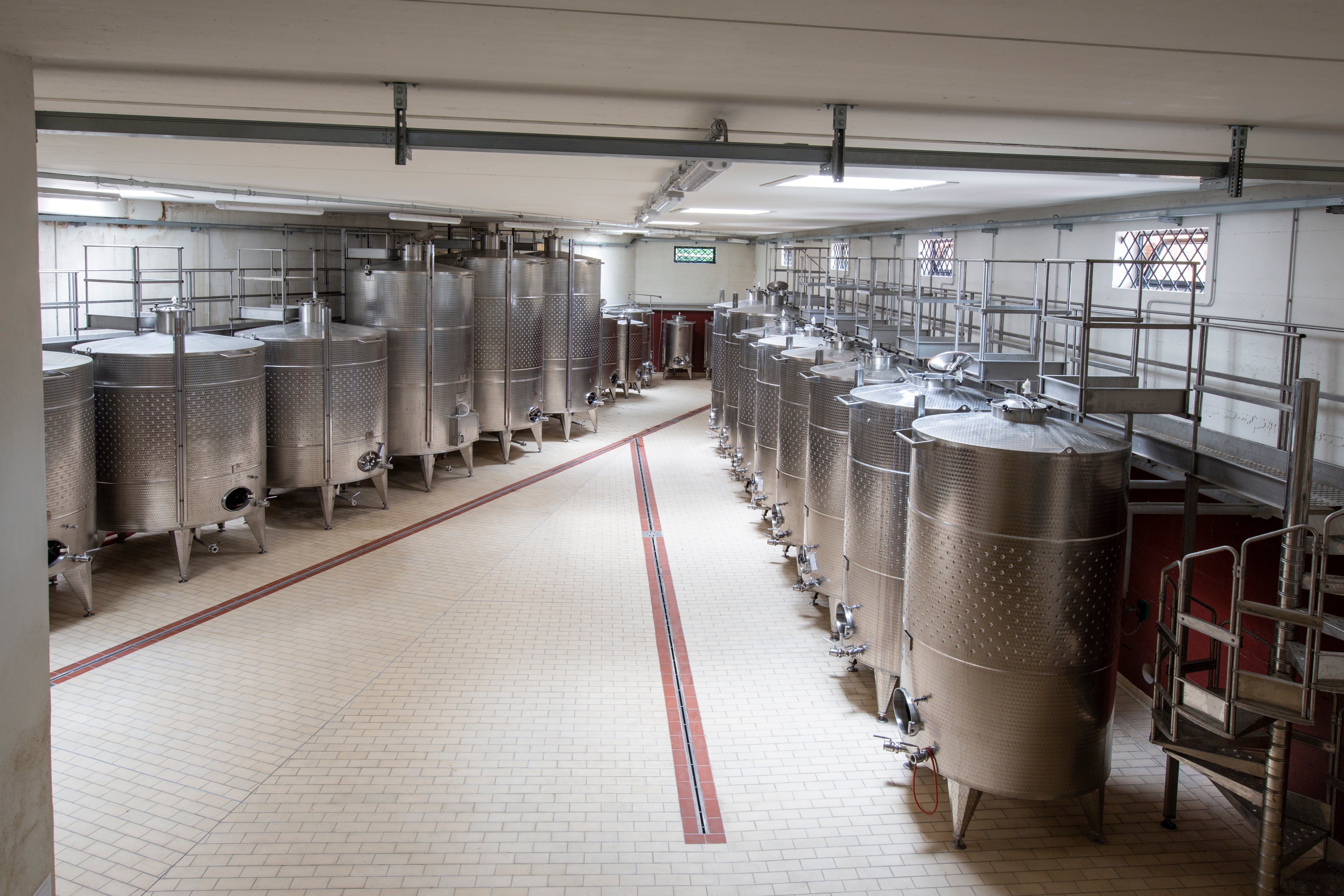 🍷Cantine Aperte in Vendemmia - 21 e 22 SETTEMBRE 2024🍷