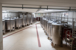 🍷Cantine Aperte in Vendemmia - 21 e 22 SETTEMBRE 2024🍷